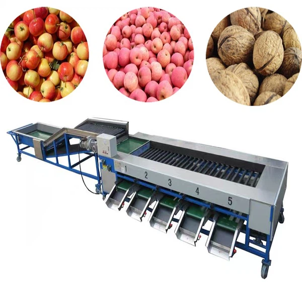 kiwi sorting machines kiwi sorting machines
