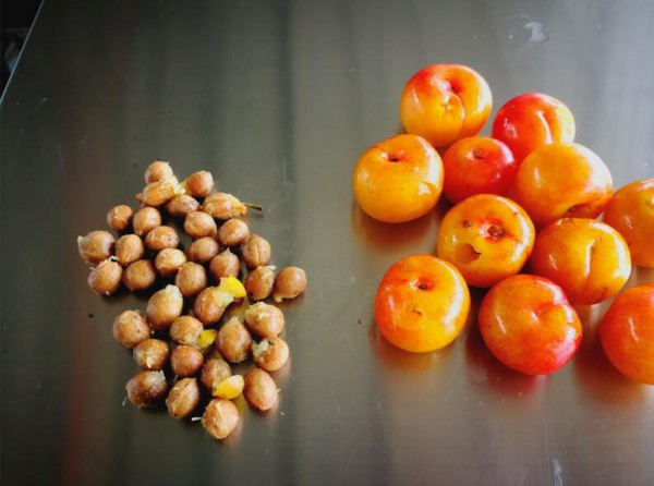 electric cherry pitter machine electric cherry pitter machine