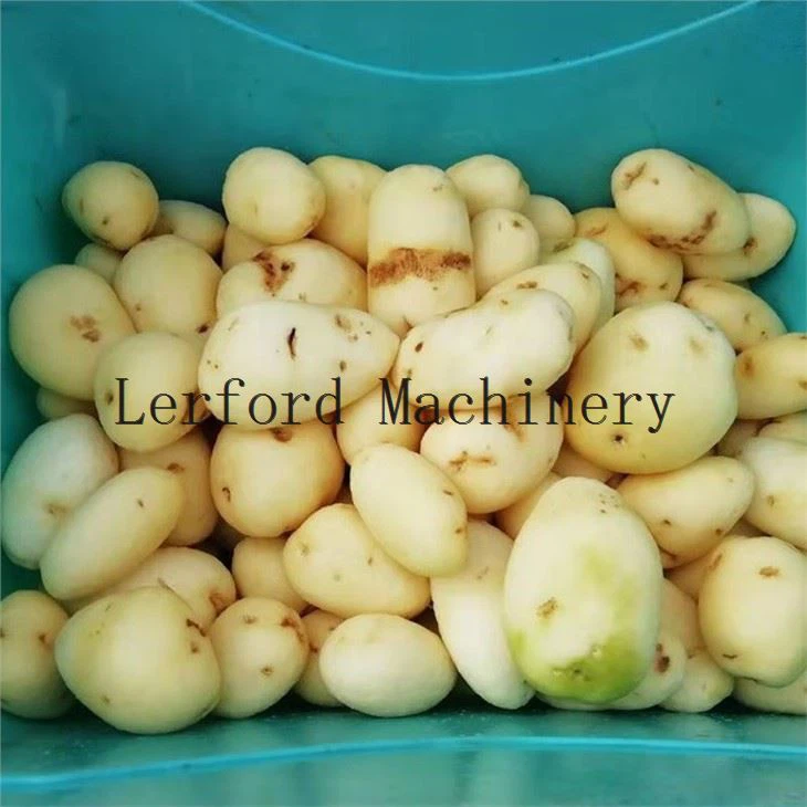 potato peeling machine