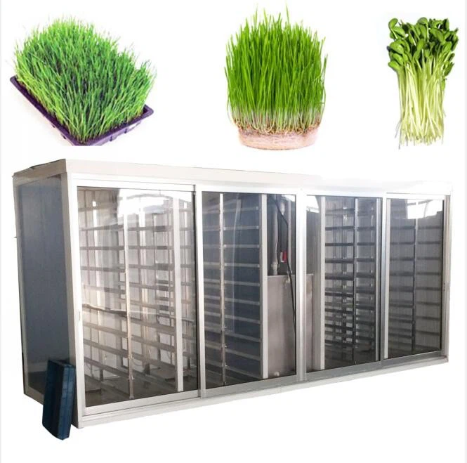 Electric Seed Sprouter