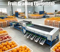Udstyr til frugtsortering
